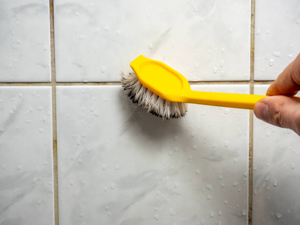 Best Mold Testing and Inspection Services in Pasadena Hills, MO