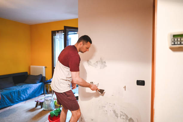Best Attic Mold Remediation in Pasadena Hills, MO